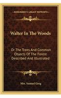 Walter in the Woods: Or the Trees and Common Objects of the Forest Described and Illustrated