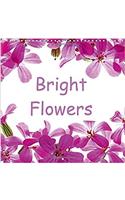 Bright Flowers 2017: Colorful Wildflowers from Forest Floors and Meadows(Calvendo Nature)