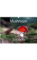 Mushroom Season 2018