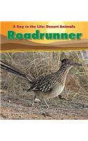 Roadrunner