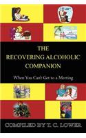 Recovering Alcoholic Companion