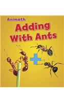Adding with Ants
