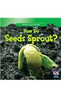 How Do Seeds Sprout?