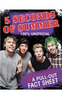 5 Seconds of Summer