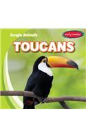 Toucans