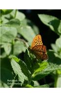 Notizbuch XXL Schmetterling