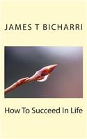How To Succeed In Life: (English)