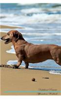 Dachshund Affirmations Workbook Dachshund Presents: Positive and Loving Affirmations Workbook. Includes: Mentoring Questions, Guidance, Supporting You.: Positive and Loving Affirmations Workbook. Includes: Mentoring Questions, Guidance, Supporting You.