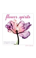 2019 Flower Spirits Radiographs of Nature by Steven N. Meyers Mini Calendar: By Sellers Publishing