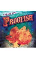 Frogfish