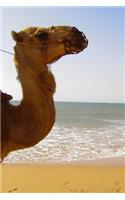 Camel by the Sea in Profile Animal Journal: 150 Page Lined Notebook/Diary