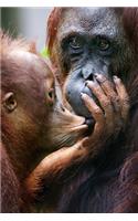 Orangutan Lovers Gift For Girls, Boys, Women & Men