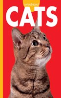 Curious about Cats: (Curious about Pets)