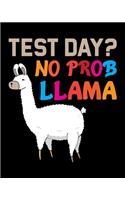 Test Day No Prob Llama