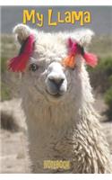 My Llama Notebook