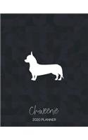 Chiweenie 2020 Planner: Dated Weekly Diary With To Do Notes & Dog Quotes