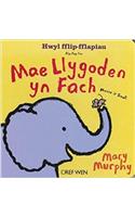 Mae Llygoden yn Fach / Mouse is Small