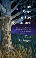 Star in the Sycamore