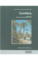 Conifers