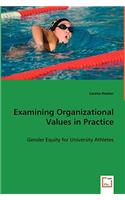 Examining Organizational Values in Practice