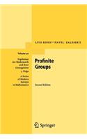 Profinite Groups