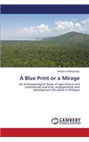 A Blue Print or a Mirage