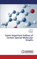 Some Important Indices of Certain Special Molecular Graphs