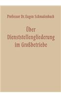 Über Dienststellengliederung im Grossbetriebe