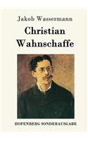 Christian Wahnschaffe