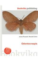 Odontocraspis: (English)