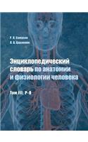 &#1069;&#1085;&#1094;&#1080;&#1082;&#1083;&#1086;&#1087;&#1077;&#1076;&#1080;&#1095;&#1077;&#1089;&#1082;&#1080;&#1081; &#1089;&#1083;&#1086;&#1074;&#1072;&#1088;&#1100; &#1087;&#1086; &#1072;&#1085;&#1072;&#1090;&#1086;&#1084;&#1080;&#1080; &#1080