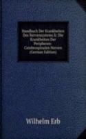 Handbuch Der Krankheiten Des Nervensystems Ii: Die Krankheiten Der Peripheren-Cerebrospinalen Nerven (German Edition)