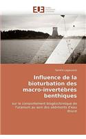 Influence de la Bioturbation Des Macro-Invertébrés Benthiques