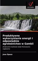 Produktywne wykorzystanie energii i odpowiednie agrole&#347;nictwo w Gambii