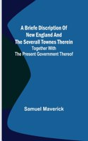 briefe discription of New England and the severall townes therein; Together with the present government thereof