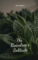The Raindrop's Solitude