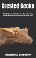 Crested Gecko