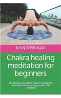 &#1057;hakra healing meditation for beginners: are human energetic centres, energetic whirlwinds connecting us with the Universe(1 Chakras)