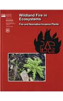 Wildland Fire in Ecosystems: Fire and Nonnative Invasive Plants