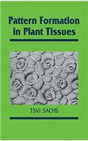 Pattern Formation in Plant Tissues