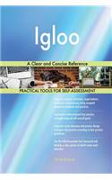 Igloo A Clear and Concise Reference