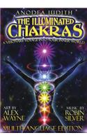 The Illuminated Chakras DVD