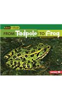 From Tadpole to Frog: (Start to Finish, Second Series)