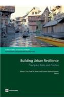 Building Urban Resilience