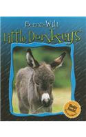 Little Donkeys