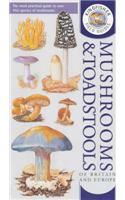 Kingfisher Field Guide to the Mushrooms and Toadstools of Britain and Europe