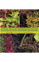 Coleus