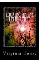 Looking Up The Lemon Tree
