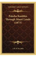 Pakeha Rambles Through Maori Lands (1873)