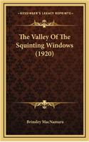 The Valley Of The Squinting Windows (1920)